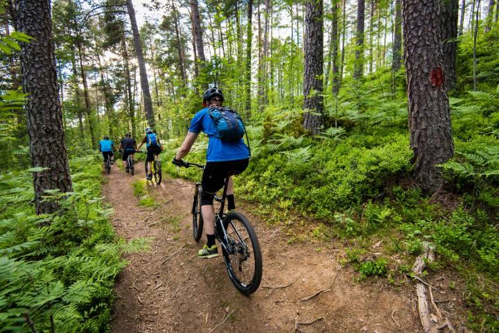 a person riding a bicycle on a trail in a forest